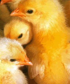 Yellow Baby Chickens Paint By Numbers