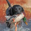 Adorable Labrador Hunting Bird Paint By Numbers