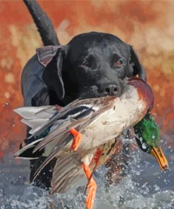 Adorable Labrador Hunting Bird Paint By Numbers