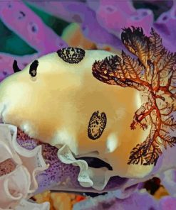 Aesthetic Sea Slug Animal Paint By Numbers