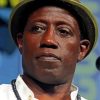 American Wesley Snipes Paint By Numbers