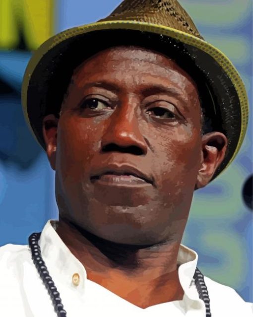 American Wesley Snipes Paint By Numbers