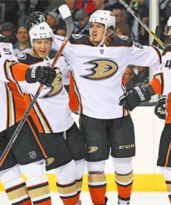 Anaheim Ducks NHL Paint By Numbers