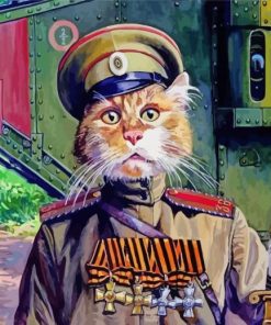 Army Cat Paint By Numbers