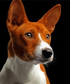 Basenji Dog Paint By Numbers