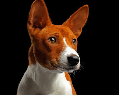 Basenji Dog Paint By Numbers