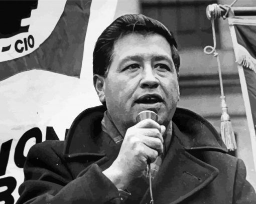 Black And White Cesar Chavez Paint By Numbers