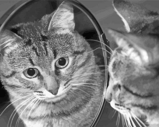 Black And White Mirror Cat Reflection Paint By Number