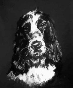 Black And White Cocker Spaniel Art Paint By Numbers