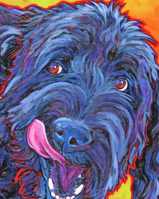 Black Labradoodle Art Paint By Numbers