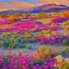 Blooming Desert Landscape Paint By Number