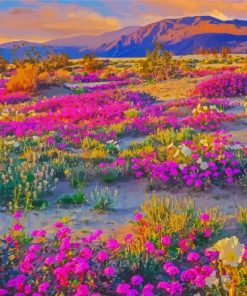 Blooming Desert Landscape Paint By Number