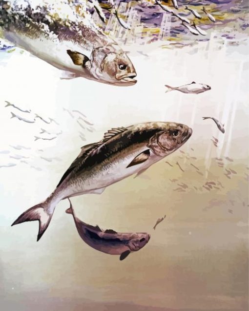 Bluefish Underwater Paint By Number