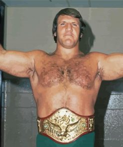 Bruno Sammartino Paint By Numbers