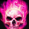 Burning Pink Skull Paint By Numbers