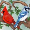 Cardinal And Blue Jay Art Paint By Number