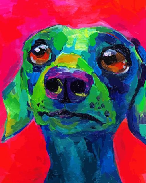 Dachshund Dog Colorful Paint By Number