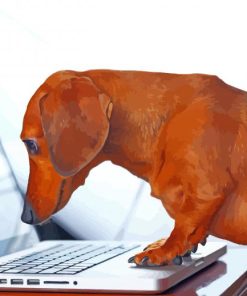 Dachshund Miniature On Laptop Paint By Number