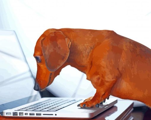 Dachshund Miniature On Laptop Paint By Number