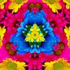 Daisy Flower Kaleidoscope Paint By Numbers