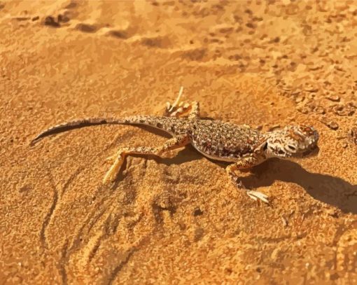 Desert Gecko Paint By Number