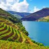 Douro Valley Paint By Numbers