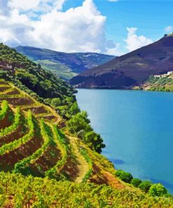 Douro Valley Paint By Numbers