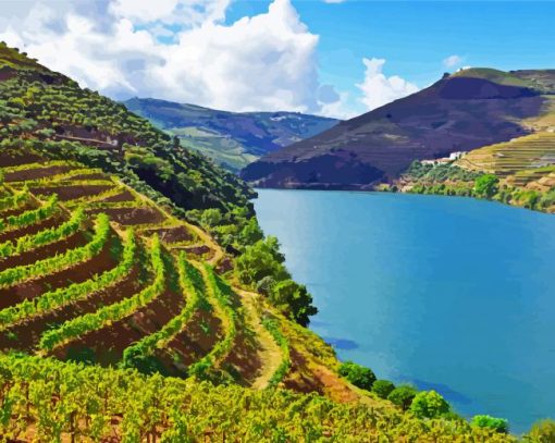 Douro Valley Paint By Numbers