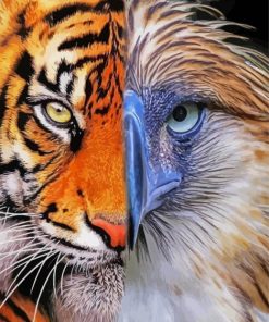 Eagle And Tiger Paint By Number