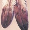 Eagle Feather Paint By Number