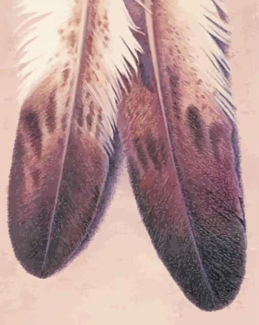 Eagle Feather Paint By Number