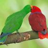 Eclectus Parrots Paint By Number