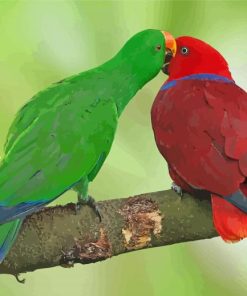 Eclectus Parrots Paint By Number