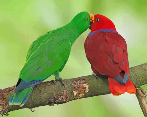 Eclectus Parrots Paint By Number