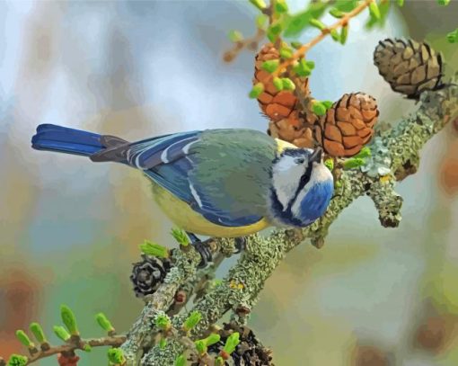 Eurasian Blue Tit On Larch Tree Paint By Number