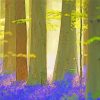 Forest With Bluebells Paint By Numbers