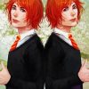 Fred And George Weasley Twins Characters Art Paint By Number