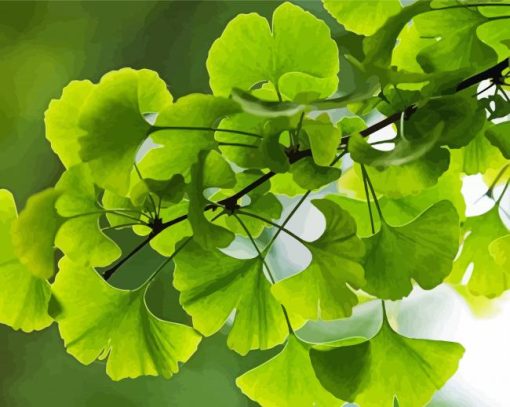 Ginkgo Green Leaves Paint By Number