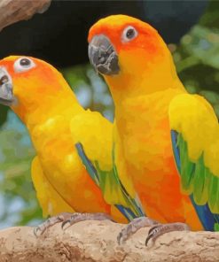 Golden Conures Paint By Number