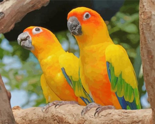 Golden Conures Paint By Number