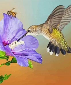 Hummingbird And Bee Paint By Numbers