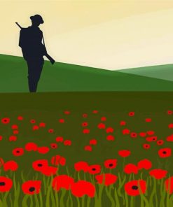 Illustration Soldier In Poppy Field Paint By Numbers