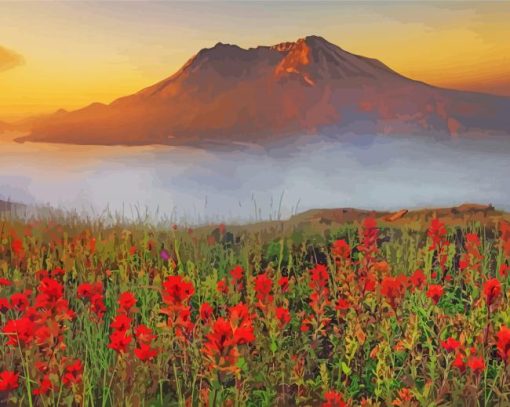 Mt St Helens With Red Poppies Paint By Numbers