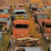 Old Cars In Yard Paint By Numbers