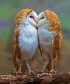 Owls Love Paint By Numbers