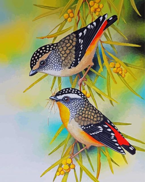 Pardalotes Art Paint By Numbers