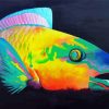 Parrot Fish Art Illustration Paint By Numbers