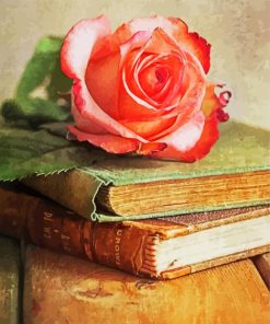 Pink Rose On Books Paint By Number