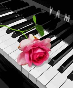 Pink Rose On Piano Paint By Number