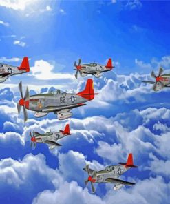 Red Tailed Planes Paint By Number